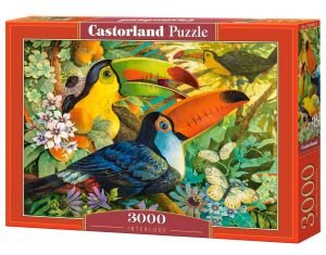 Castorland Interlude Puzzle