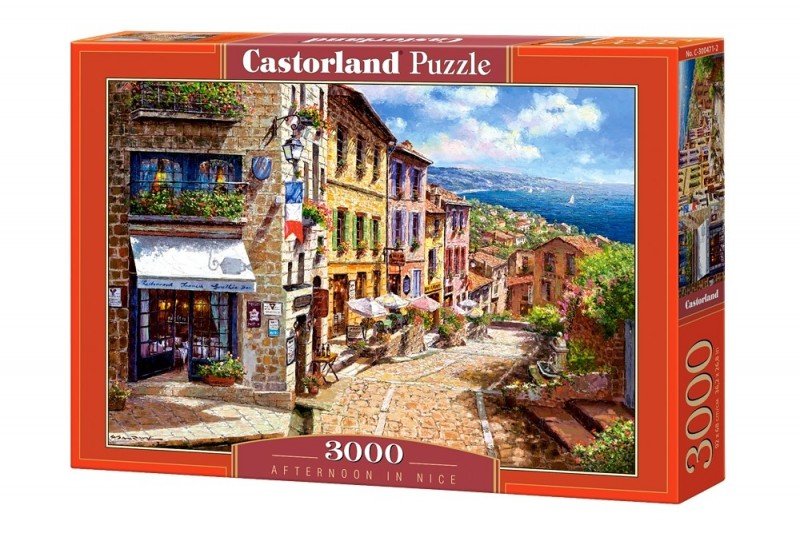 Puzzle Afternoon in Nice 3000