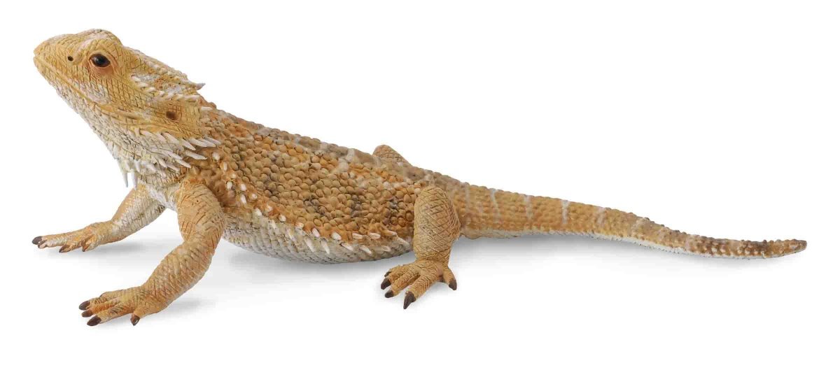 Dante figurka Jaszczurka Pogona