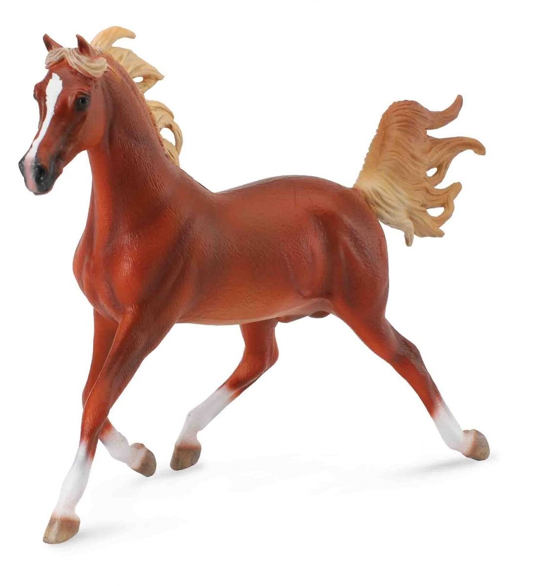 Collecta Koń arabski stallion chestnut