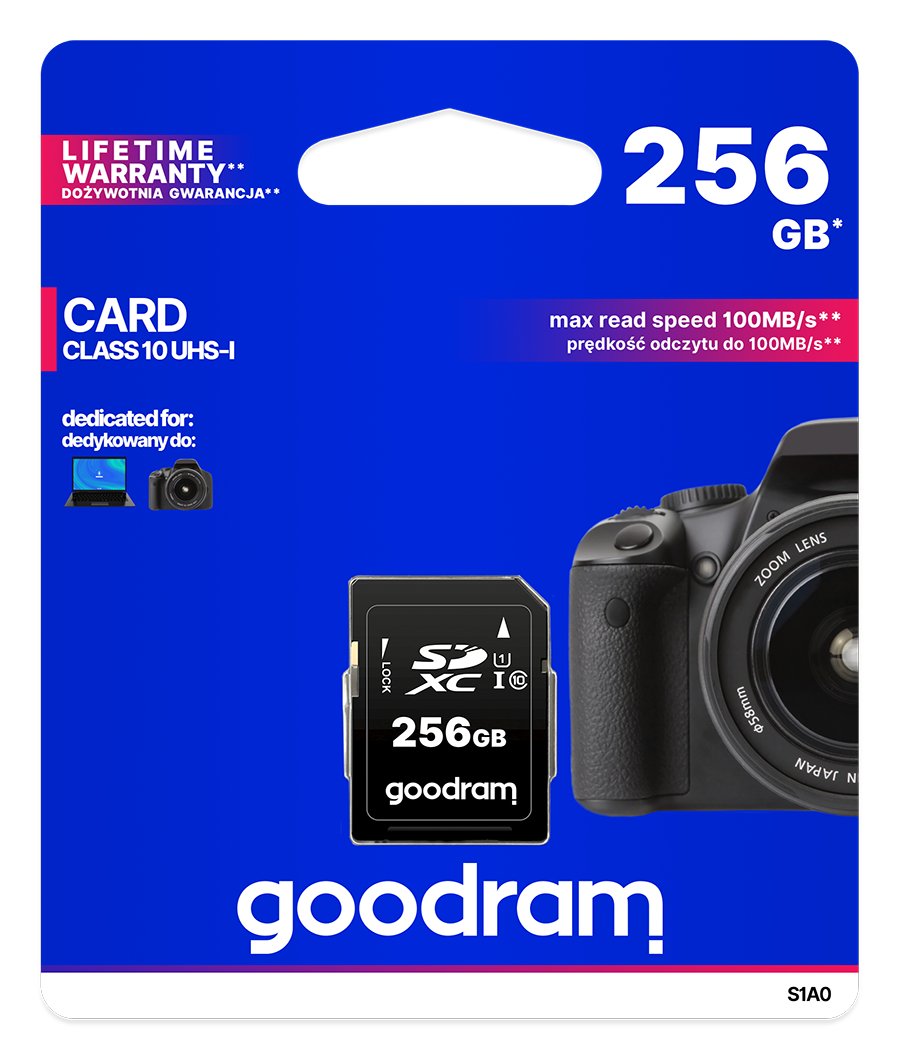 Goodram S1A0 256GB (S1A0-2560R12)
