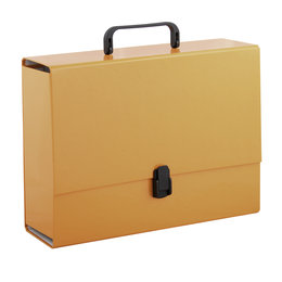 Penmate Tadeo Trading Tadeo Trading Teczka z rączką A4 10cm pomarańczowa pastelowa Tadeo Trading TARGI AD027TT