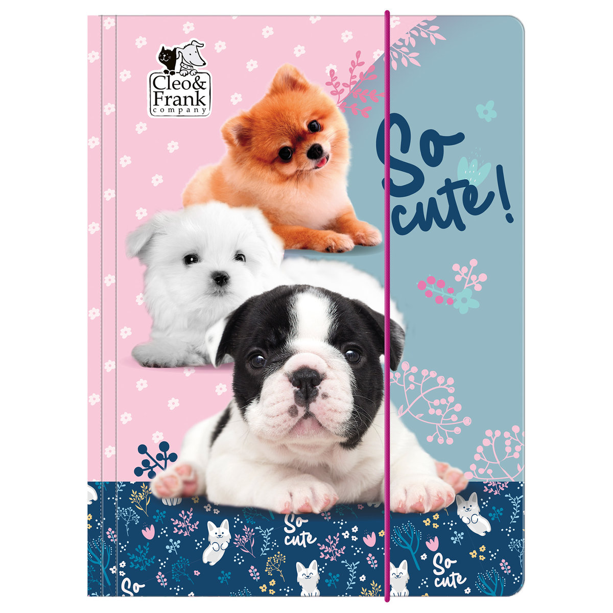 Derform Teczka z gumką A4 CLEO I FRANK 34 pies 1szt. /TGA4CF34/ DF128-CF34