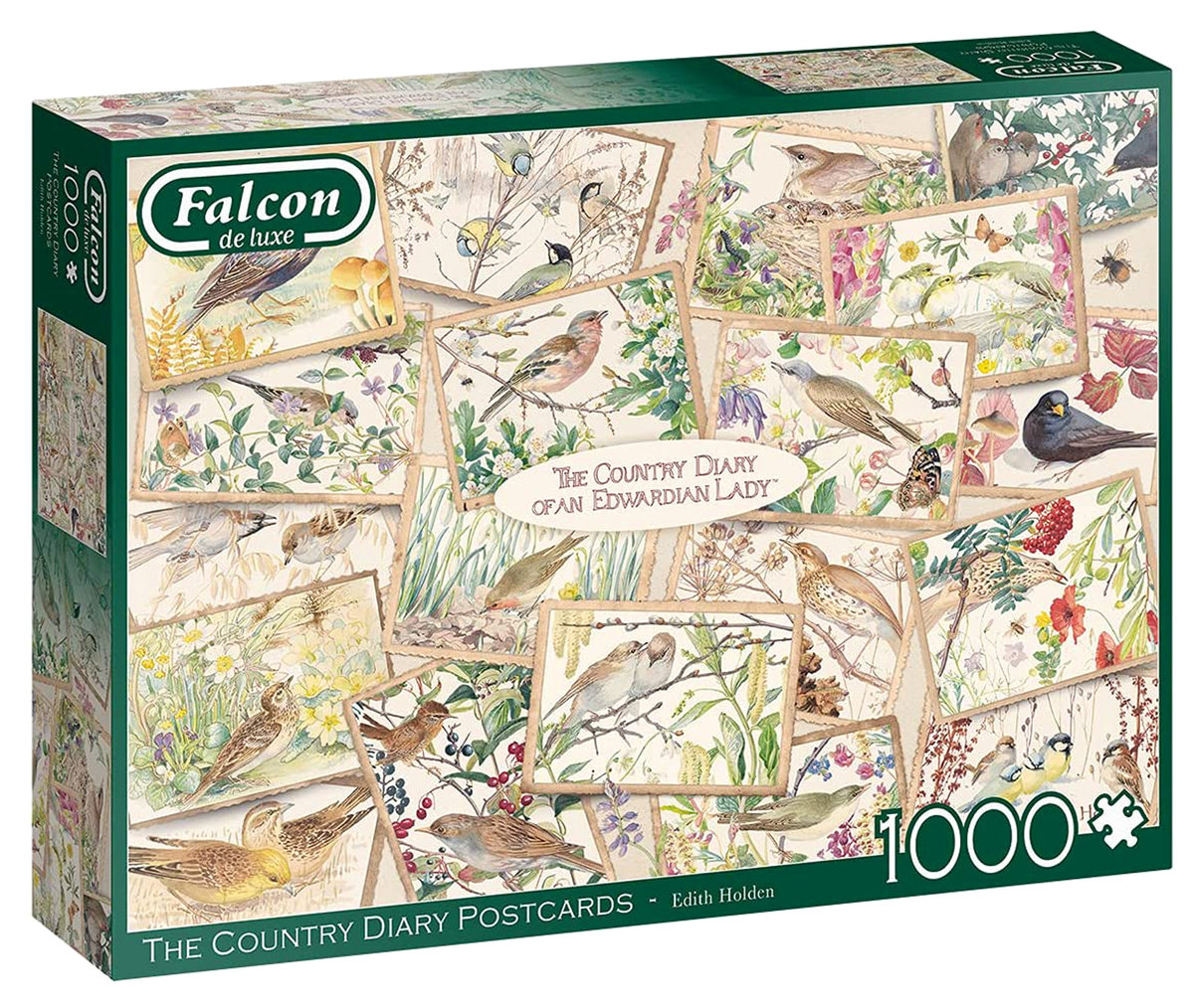 Puzzle 1000 Falcon Pocztówki z ptakami G3 - Jumbo