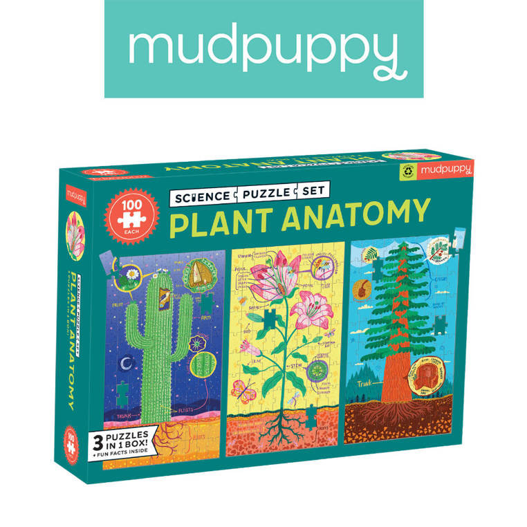 Puzzle edukacyjne 3w1 Anatomia roślin 6+ Mudpuppy