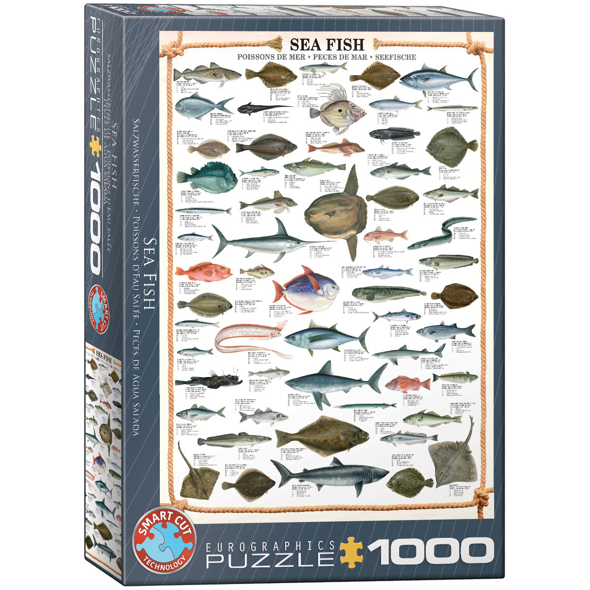 Eurographics Puzzle 1000 Sea Fish 6000-0313 -