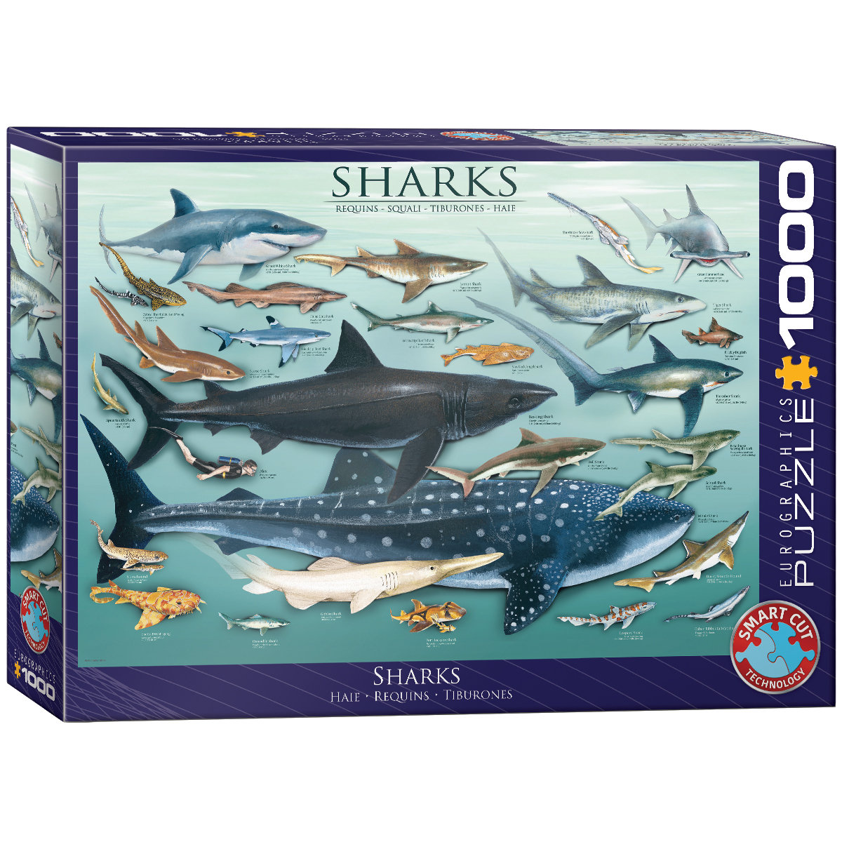 Eurographics Puzzle 1000 Sharks 6000-0079 -