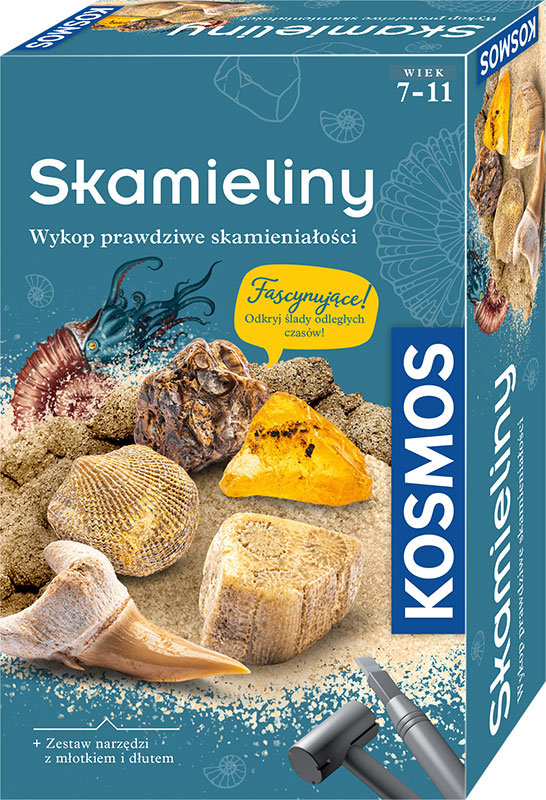 Kluwi, zestaw archeologiczny, Skamieliny