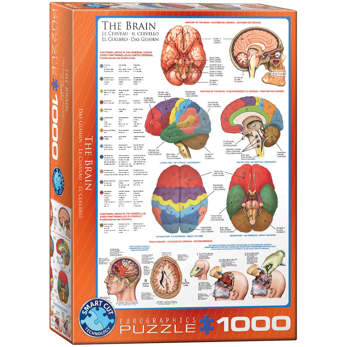Puzzle 1000 The Brain 6000-0256 - Eurographics