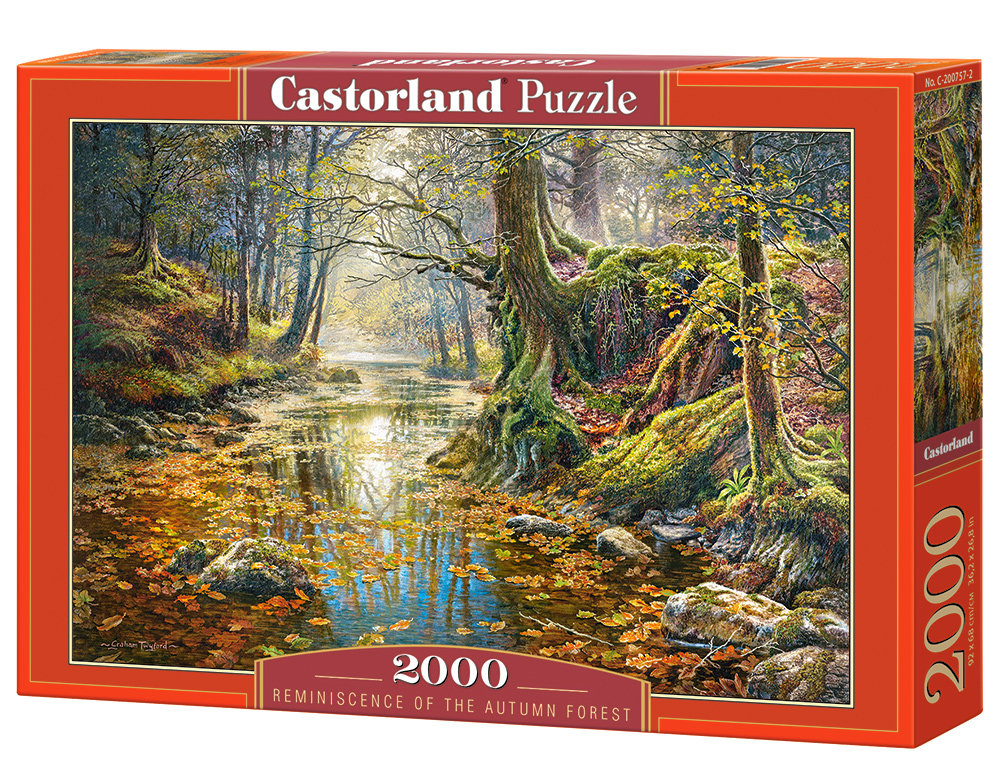 Castorland Puzzle Reminiscence of the Autumn Forest 2000