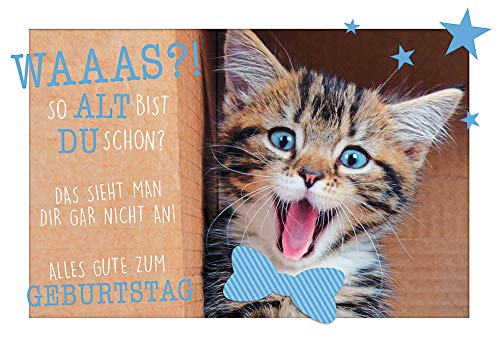 Kartka urodzinowa Lifestyle Happy Birthday kot 11,6 x 16,6 cm