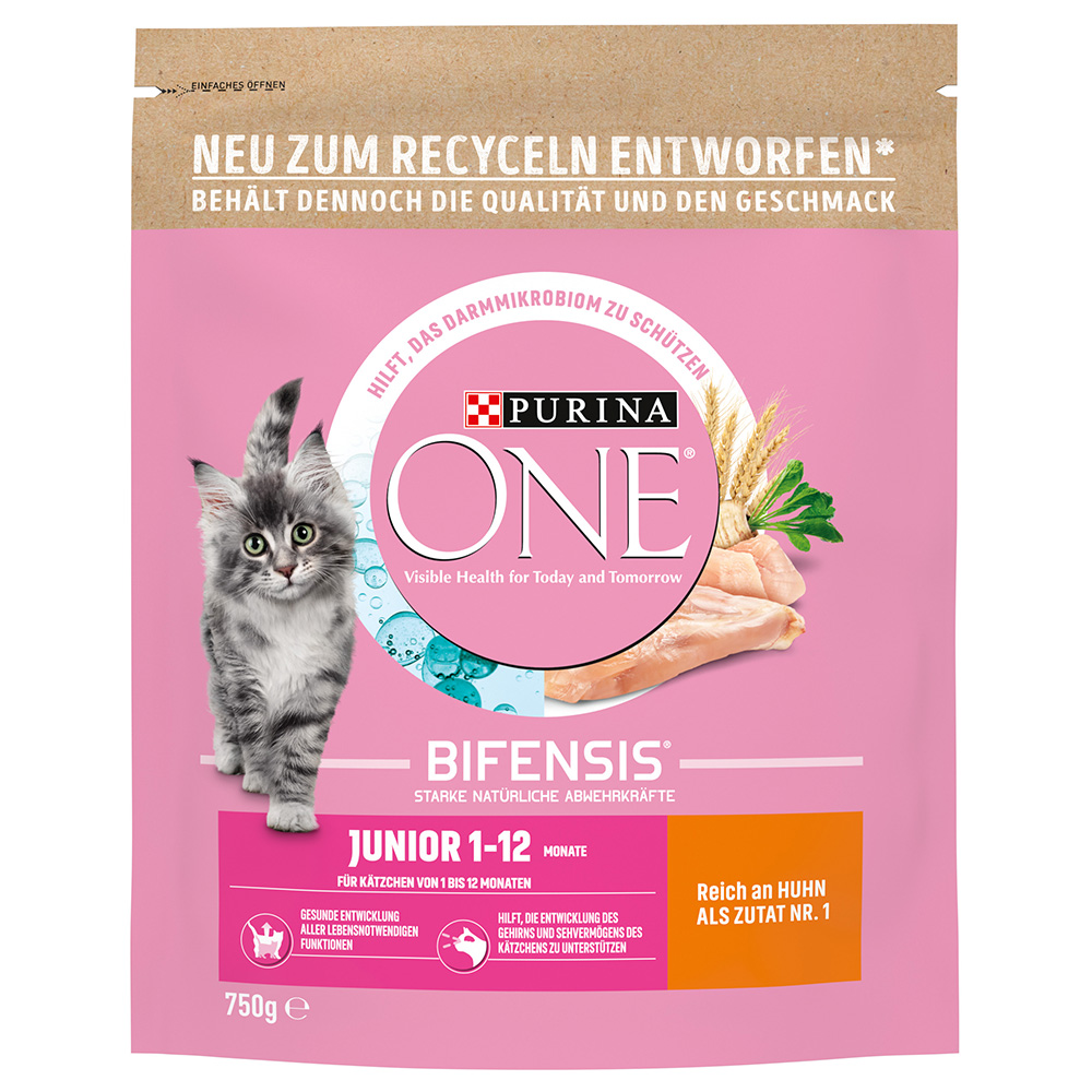 Purina ONE Junior - 750 g