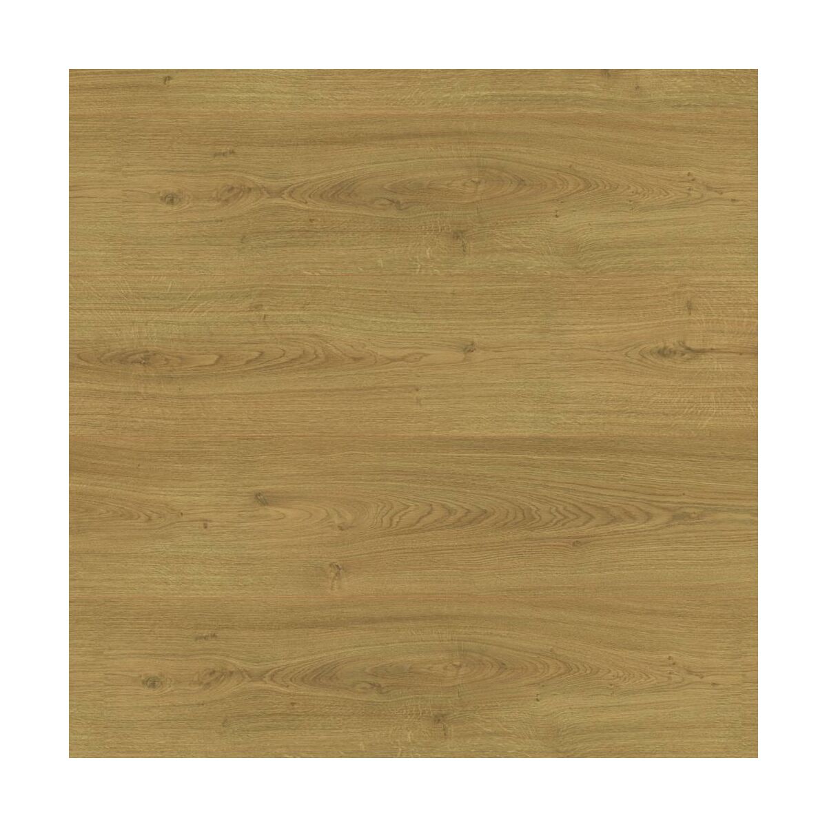Panele podłogowe laminowane Widford AC4 8 mm Egger