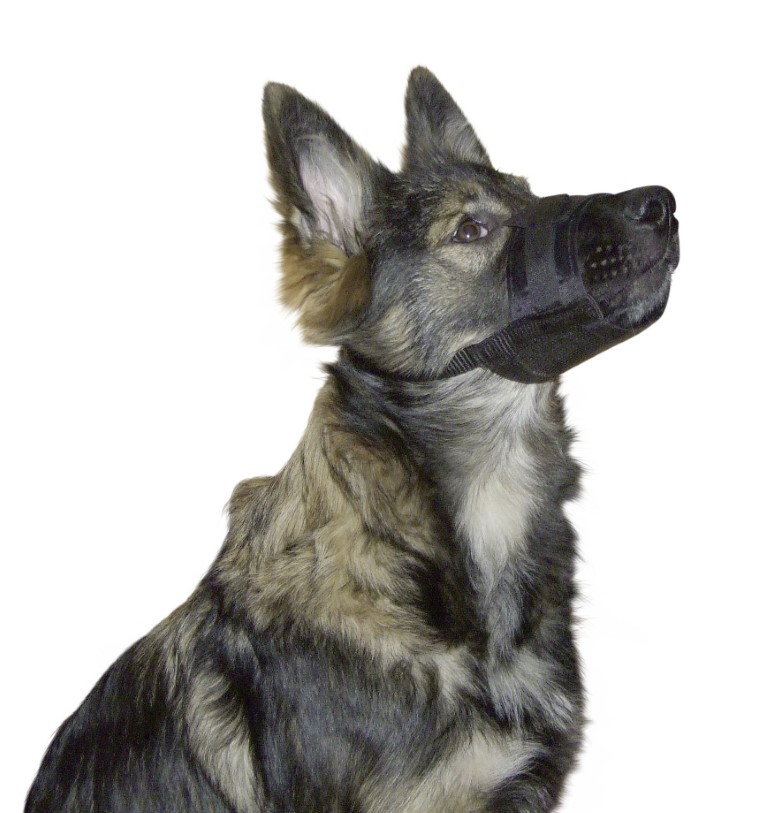Фото - Інше для собак Kerbl Kaganiec Nylon, 17 - 22 cm x 7,5 cm  [82145]