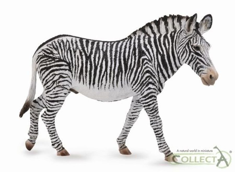 Collecta Zebra Grevys XL