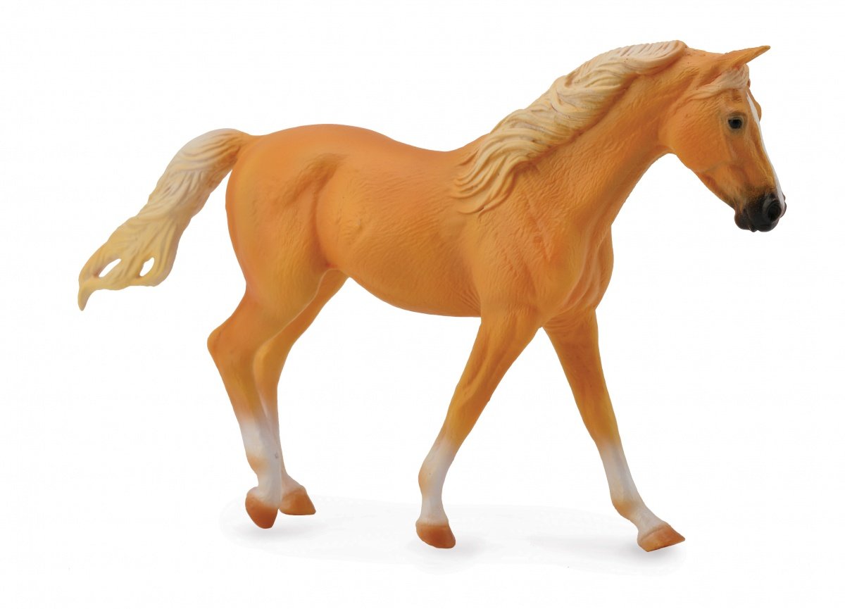 Collecta Klacz rasy Missouri fox trotter