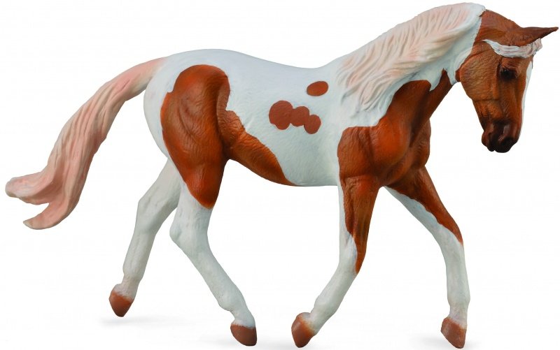 Collecta Koń rasy pinto mare palomino