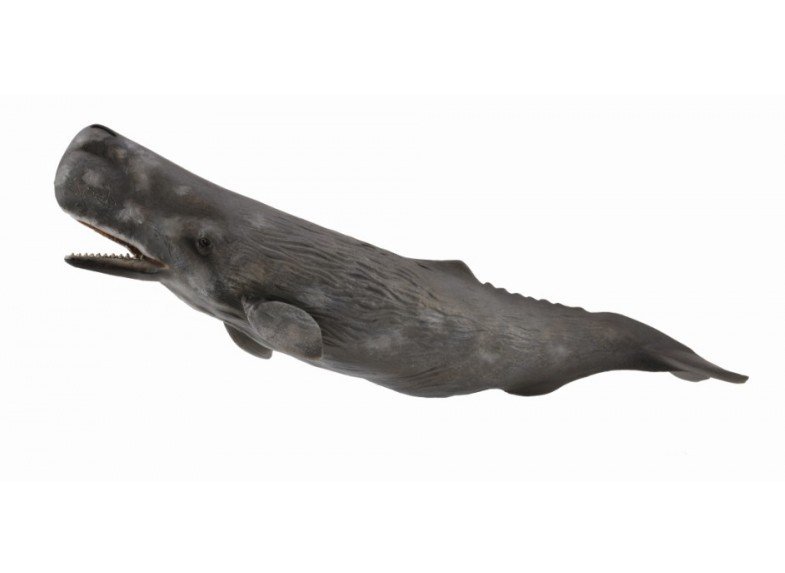Collecta, Figurka kolekcjonerska, Kaszalot