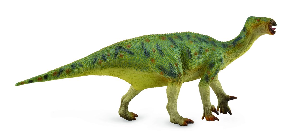 CollectA Historia: igua nodon 28 cm Zielony