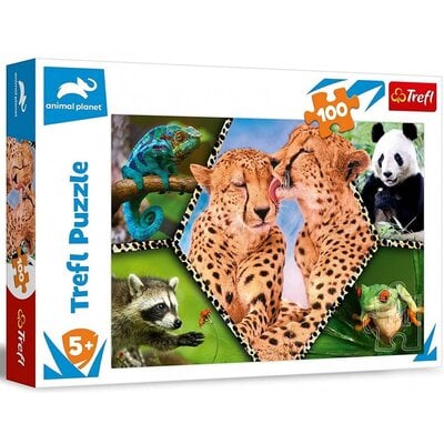 Trefl Puzzle 100el Piękno natury Discovery Animal Planet 16424 16424