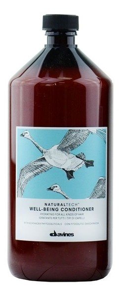 Davines Natural Tech Well-Being Conditioner odżywka dla połysku i miękkości włosów 1000 ml