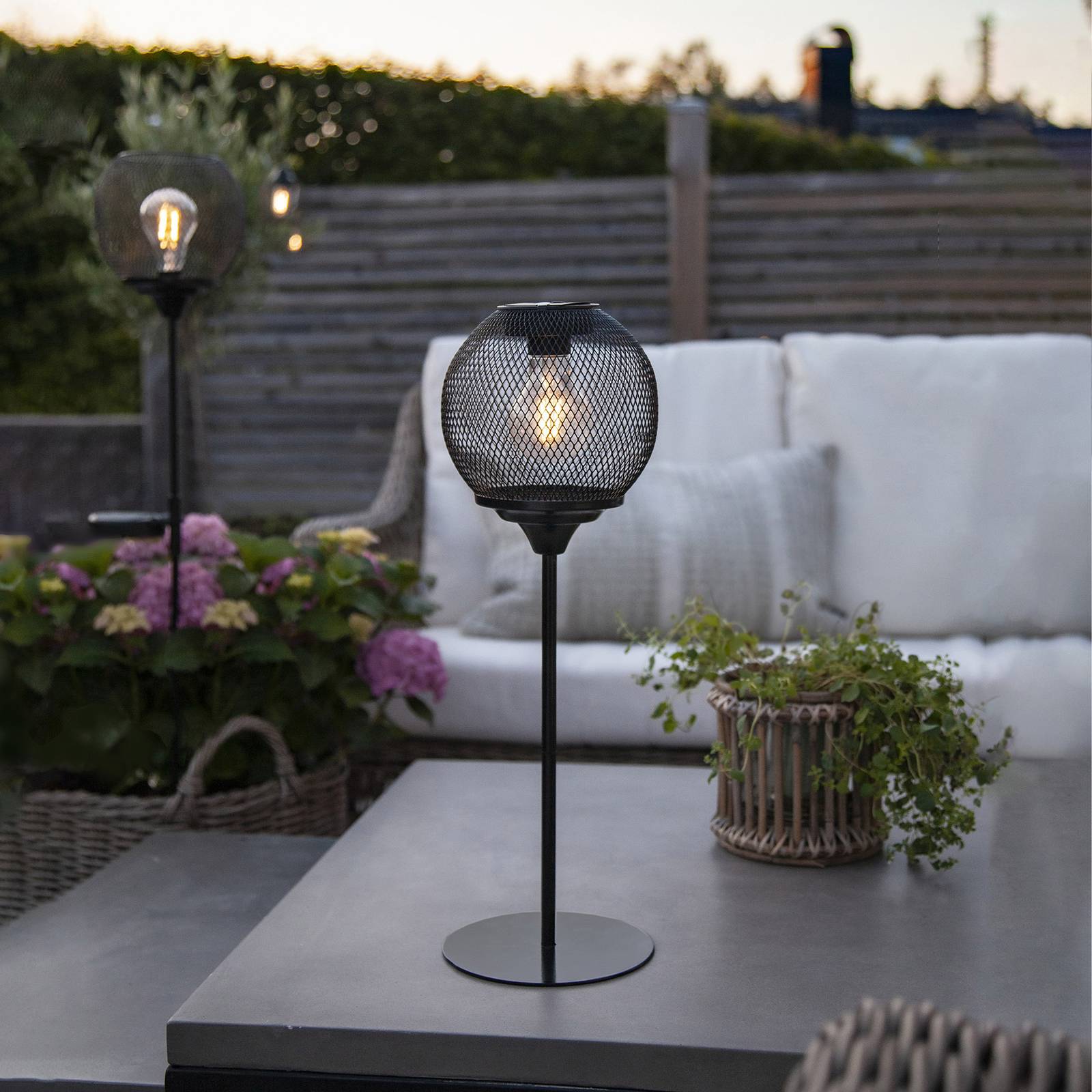 Solarna lampa stołowa LED Sunlight z siatką