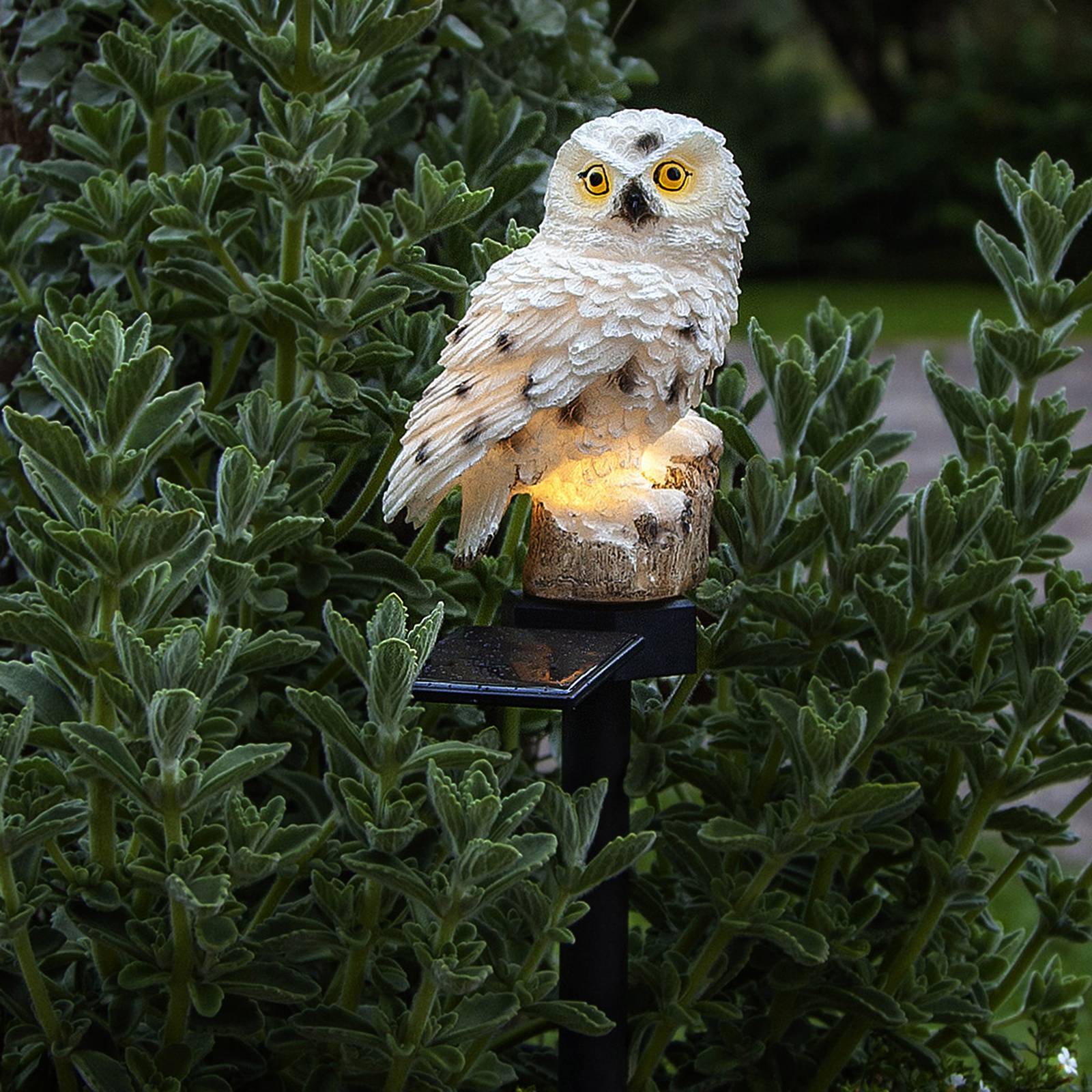 Lampa solarna LED Owl z grotem ziemnym