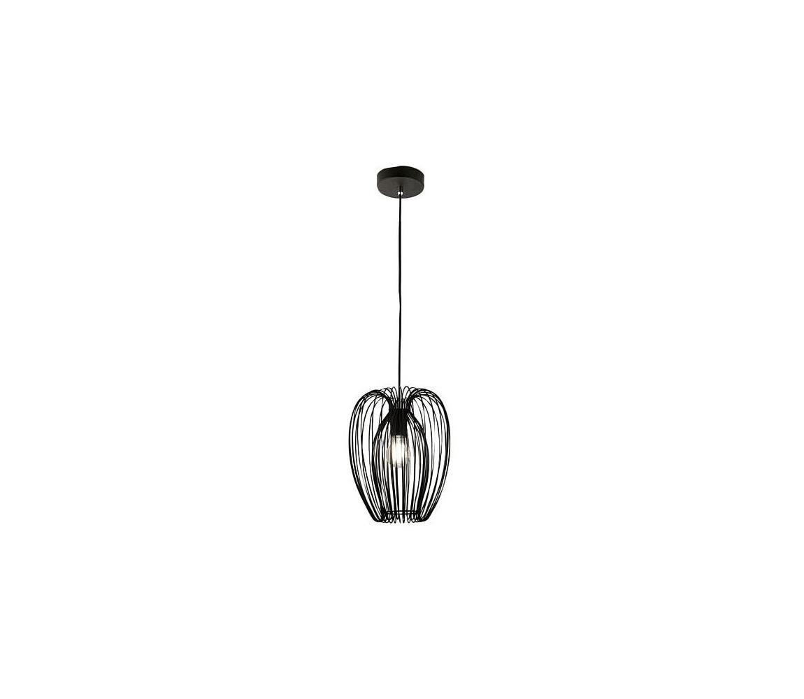 Fabas Luce 3677-45-101 - Żyrandol na lince CAMP 1xE27/40W/230V czarny