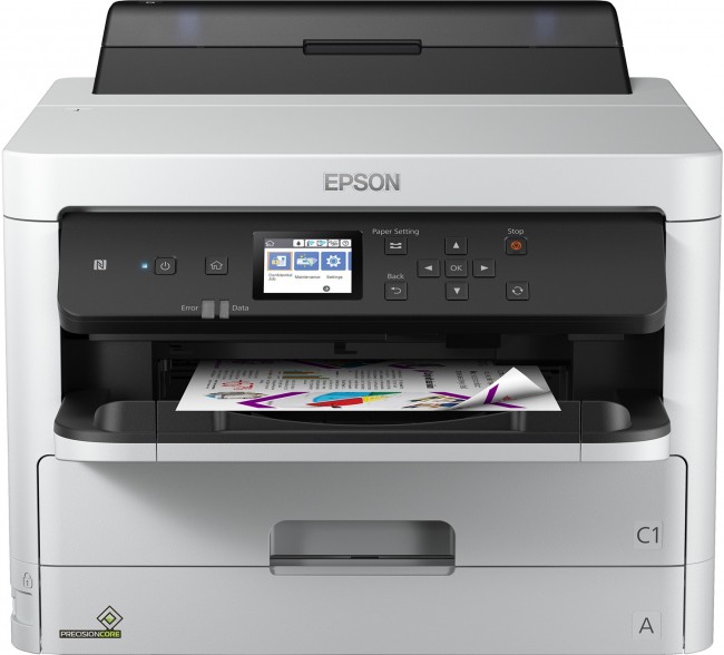 Epson RIPS WF-C529RDW C11CG79401