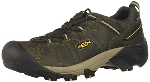 KEEN Targhee 2 Waterproof, buty turystyczne męskie, Raven Tawny Olive, 46 EU