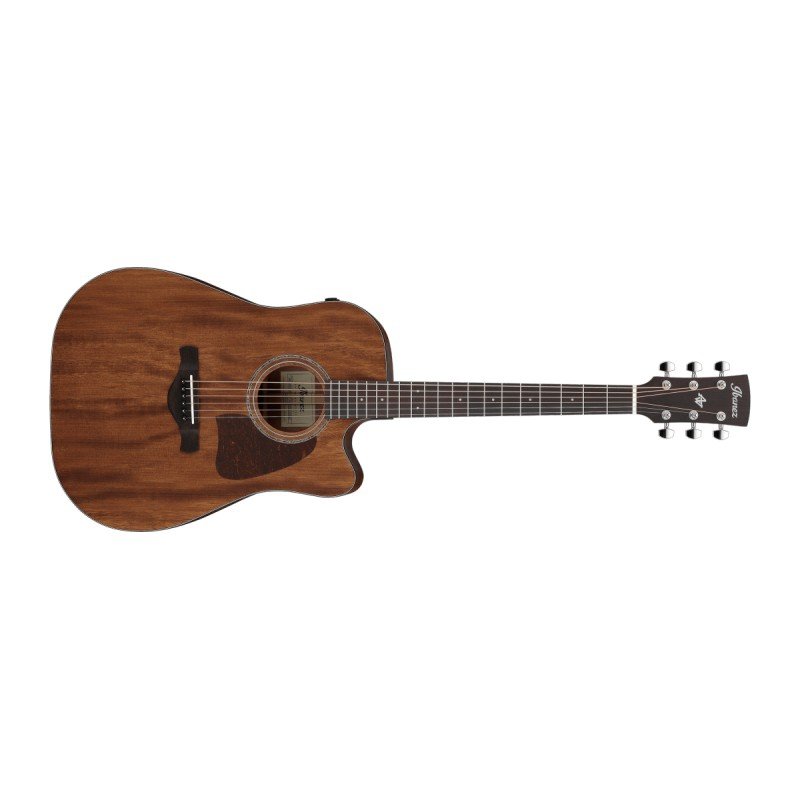 Ibanez AW1040CE-OPN Open Pore Natural