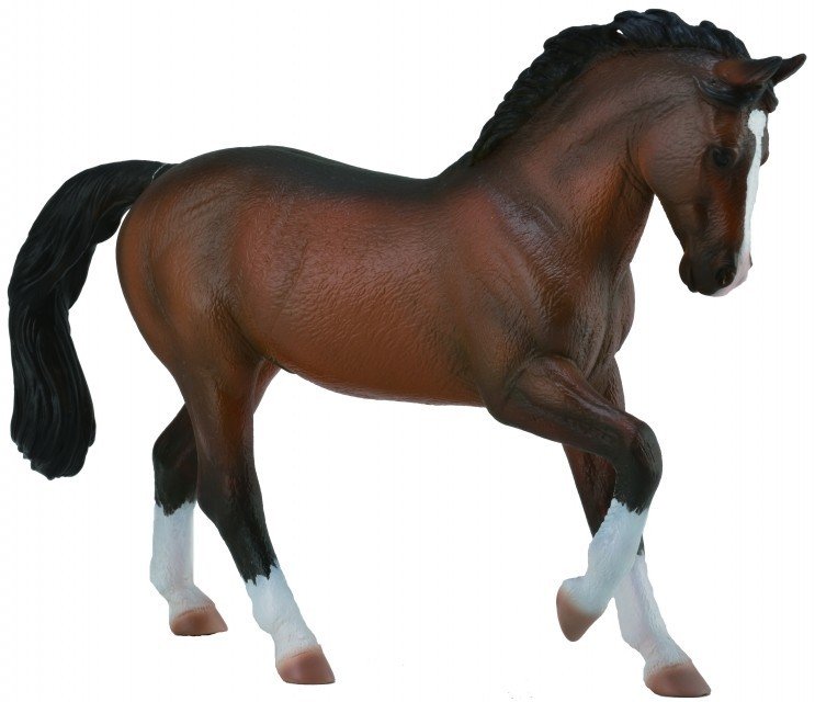 Collecta Ogier Warmblood Stallion Bay