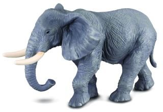 Collecta Słoń afrykański XL