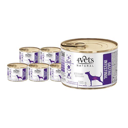 4Vets Dog Gastro Intestinal 6x185g