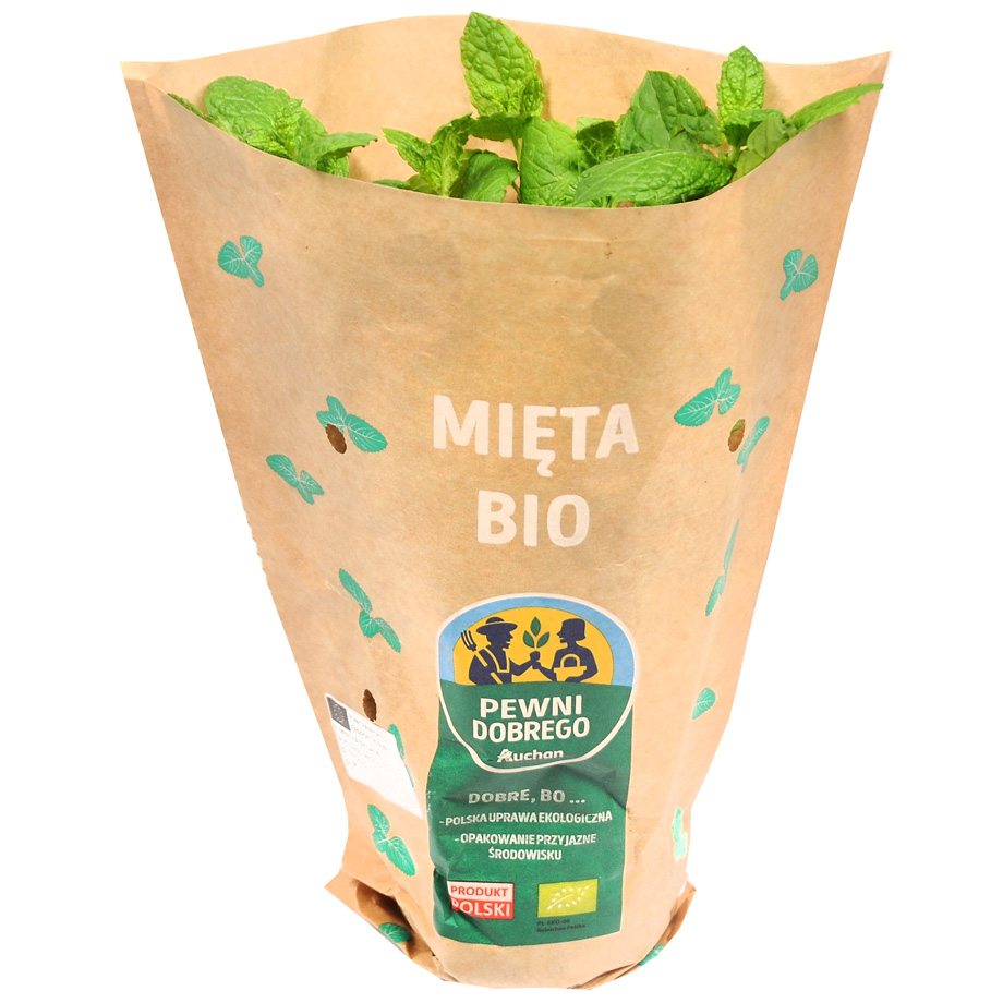 Pewni Dobrego - Mięta BIO