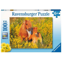 Ravensburger Kuc szetlandzki 100 elementów