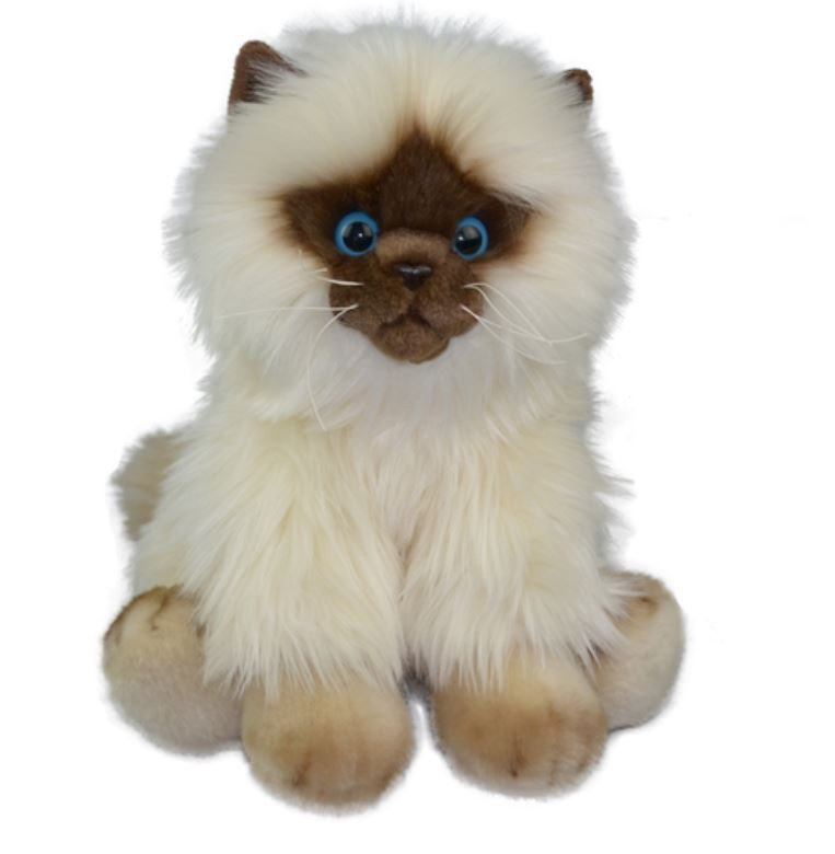 Anek Fluffy Fam kot Siamese 30cm