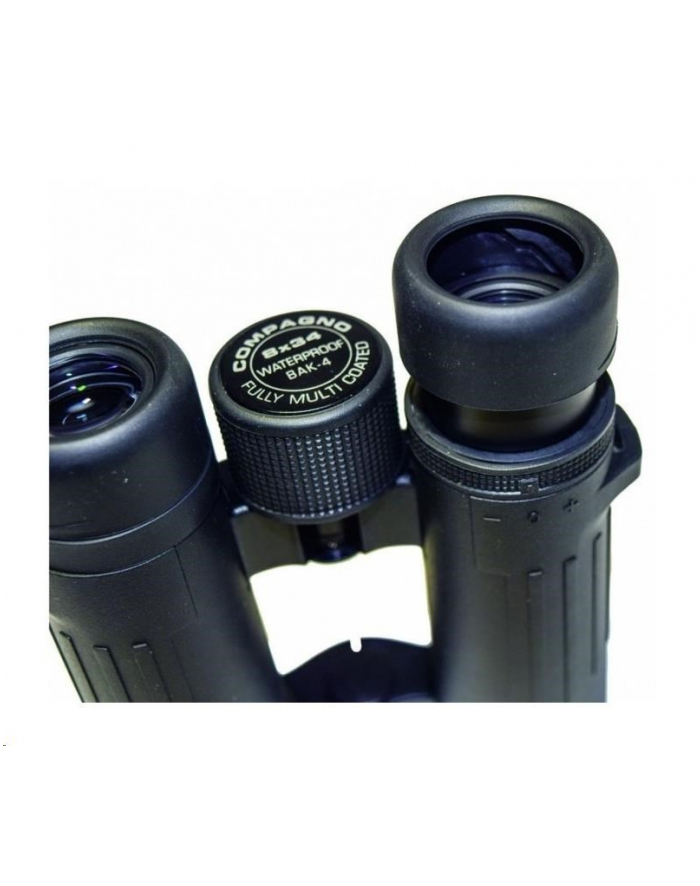 Braun Compagno 10X34 Wp