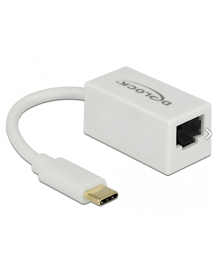 Delock Adapter USB-C 3.1 Gen 1 (wtyczka) RJ-45 Gigabit LAN, biały 65906