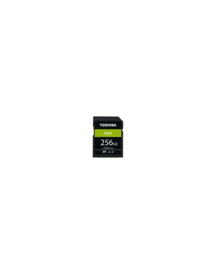 Toshiba sd-card exceria r100 n203 256gb 85089 THN-N203N2560E4