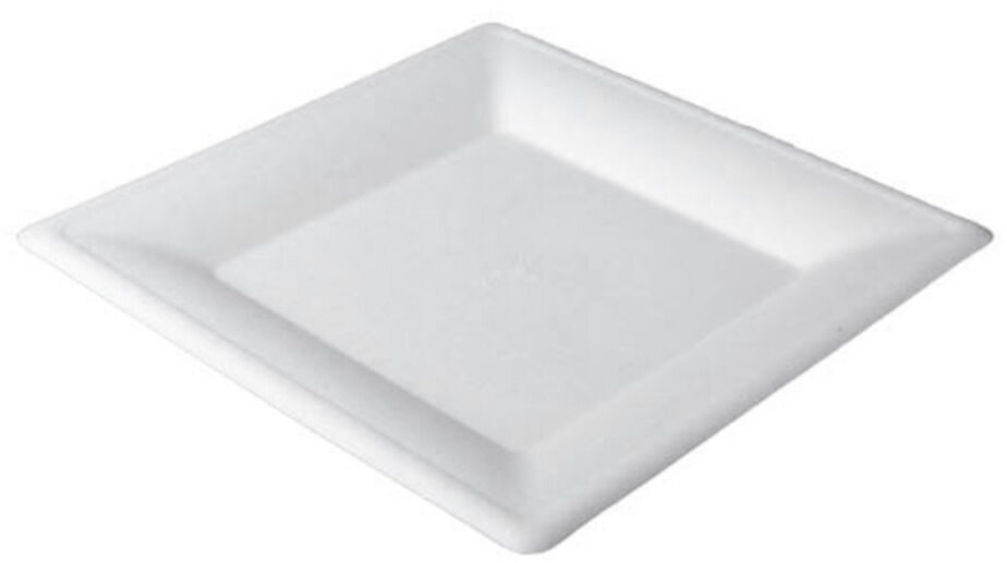 Talerz z trzciny cukrowej ECO Kwadratowy 16x16, 50 sztuk