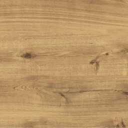 Gres szkliwiony RUSTIC WOOD 2.0 brown structure mat 59,3x59,3 gat. II