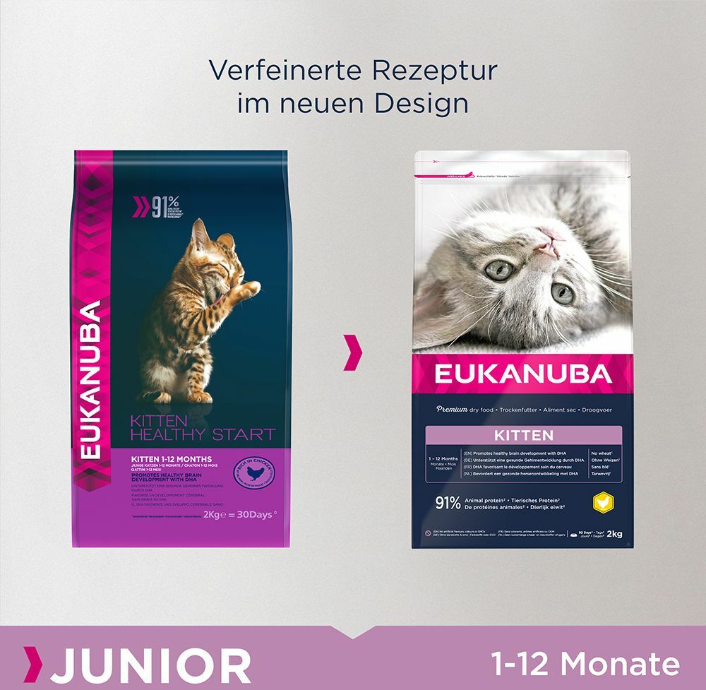 Eukanuba Healthy Start Kitten - 3 x 2 kg Dostawa GRATIS!