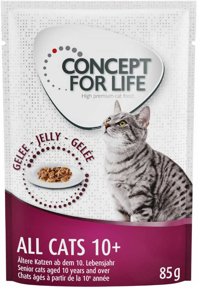 Concept for Life All Cats 10+ w galarecie - 48 x 85 g Dostawa GRATIS!