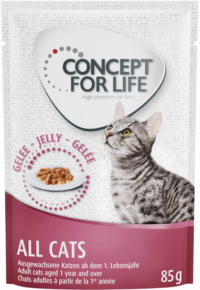 Concept for Life All Cats w galarecie - 12 x 85 g