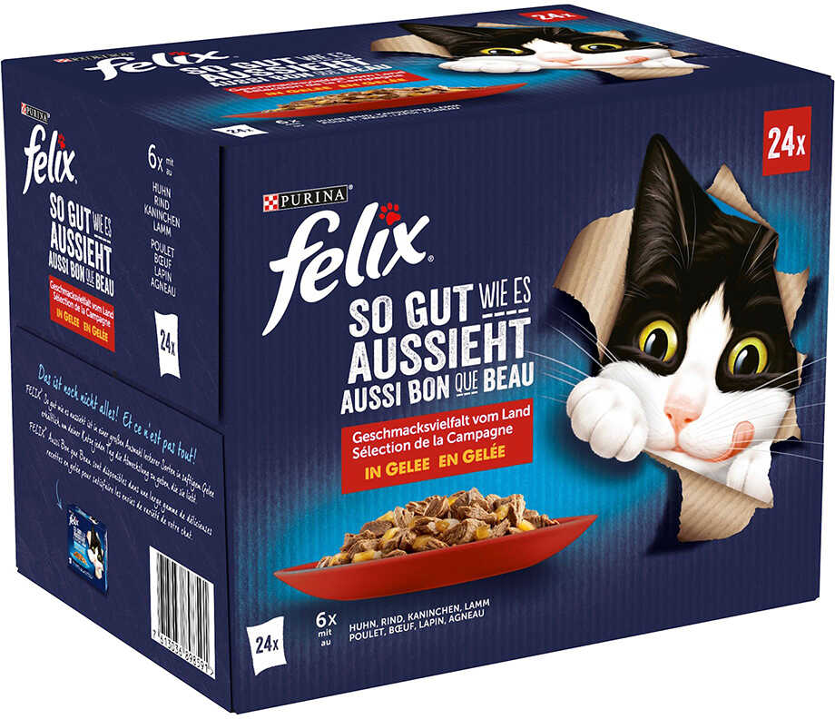 Felix Fantastic So gut wie es aussieht, 24 x 85 g - Mięsne smaki