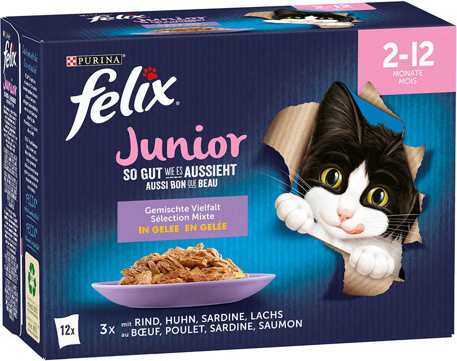 Zestaw Felix Junior (So gut wie es aussieht), 48 x 85 g - 4 smaki