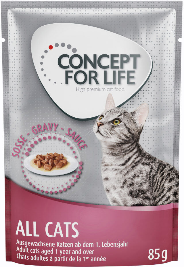 Concept for Life All Cats w sosie - 12 x 85 g