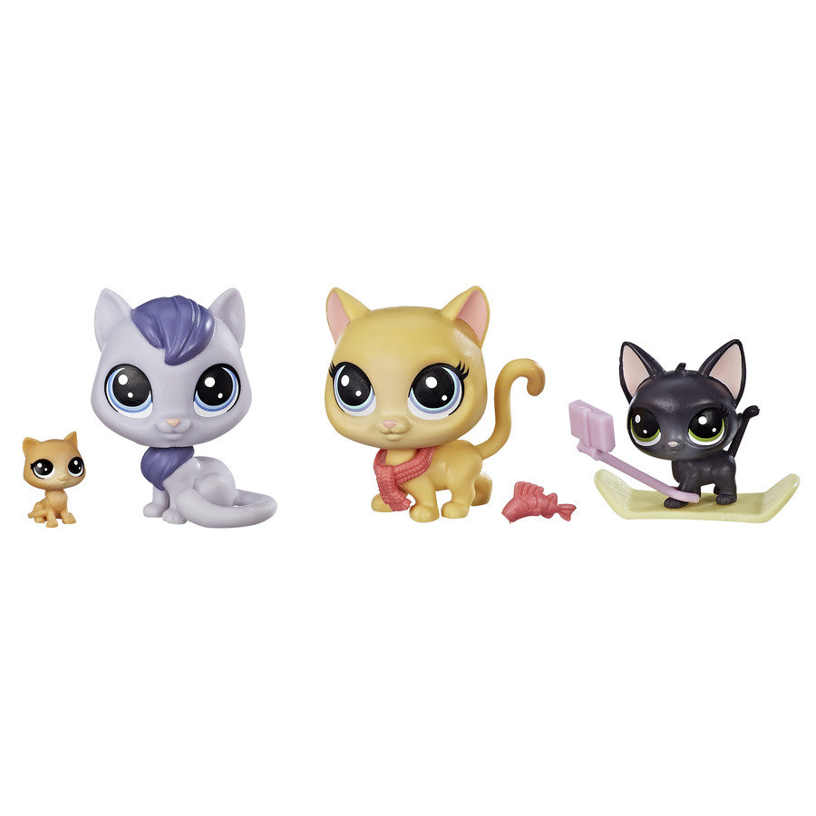 Hasbro Rodzina zwierzaków Snowboarding Kitty Crew