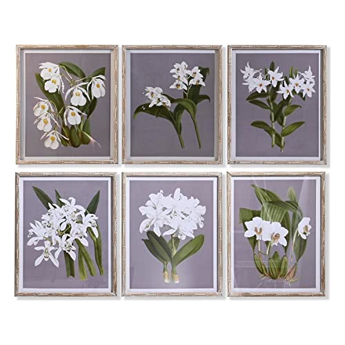Emaga Obraz DKD Home Decor Jodła Szkło Kvety (50 x 60 x 2,8 cm) (6 Sztuk)